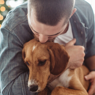 Benefits of  Animals | Pets For Vets