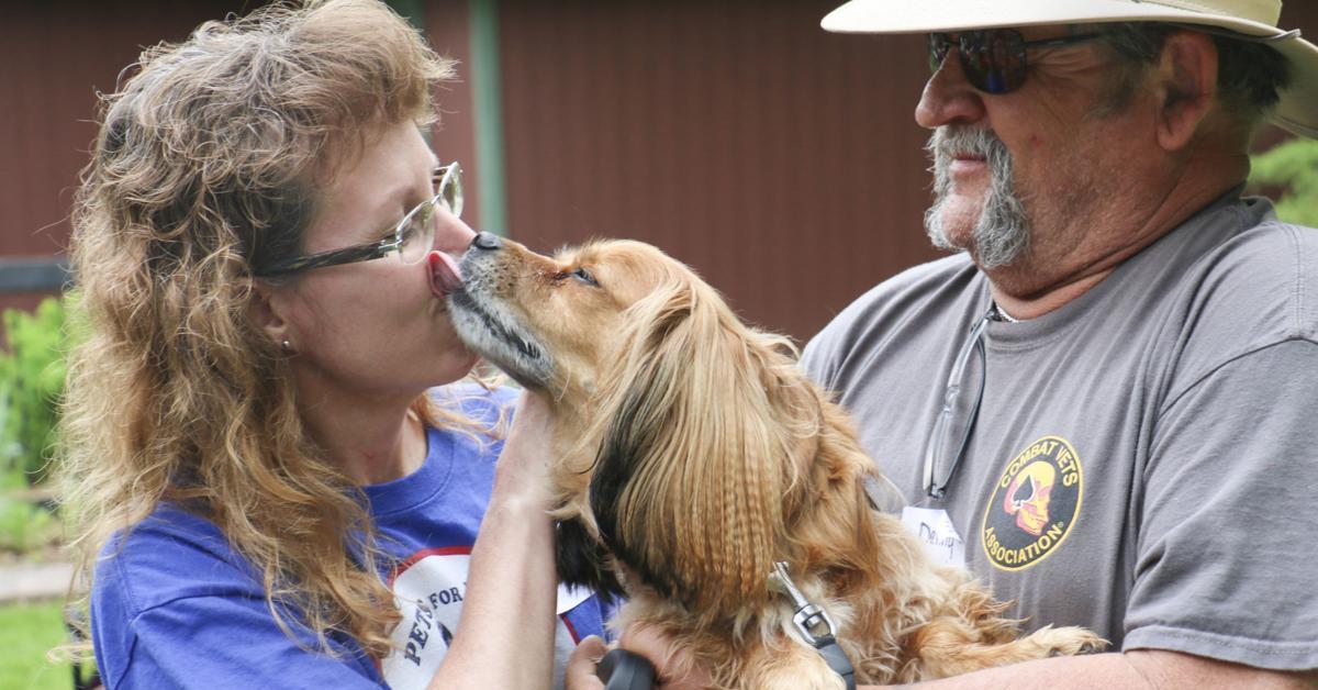 Madison WI Chapter Pets For Vets